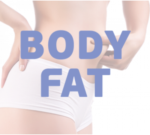 Эллиптический тренажер OXYGEN TORNADO II EL