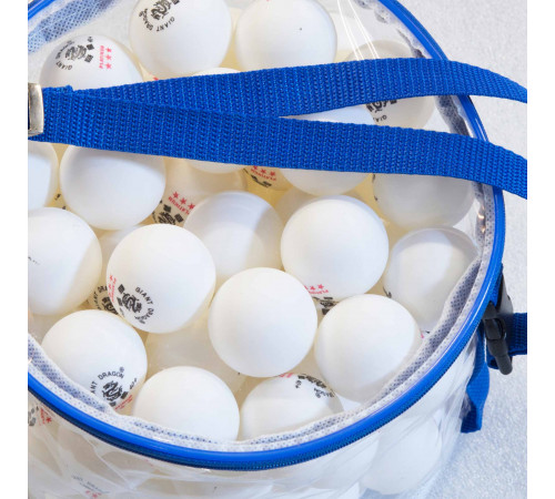 Мячи Dragon Training Platinum 3* New (100 шт, бел.) в прозрачной сумке